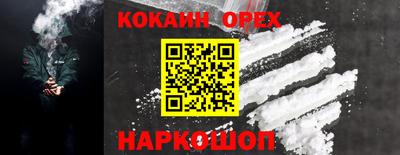 гашик Новодвинск