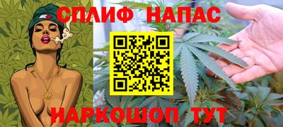 трава Новозыбков