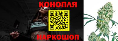 гашик Новодвинск