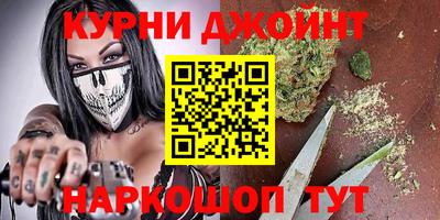 дмт Новокубанск