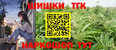гашик Новодвинск