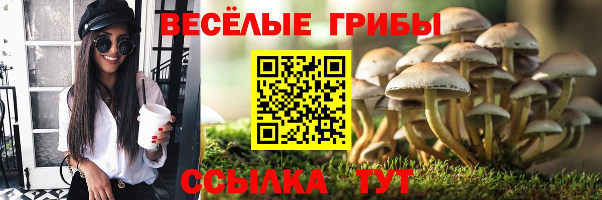 Пыть-Ях  Галлюциногенные грибы GOLDEN TEACHER  Вход с VPN  Псилоцибиновые грибы Cubensis 