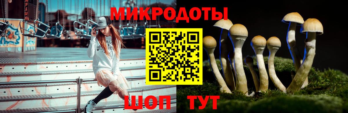 Галлюциногенные грибы мицелий Пыть-Ях
